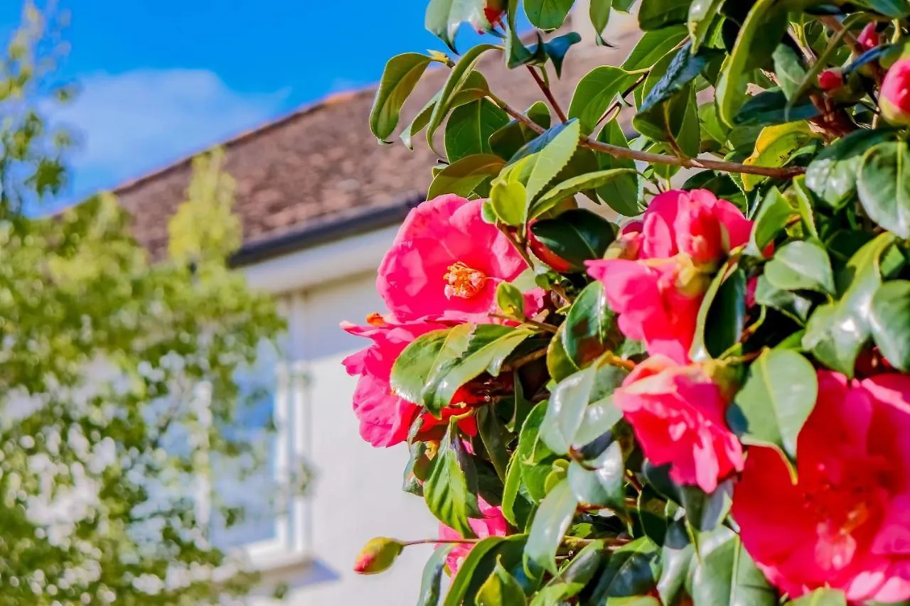 Hébergement de vacances Causey Lodge Superb Comfy Home In Exeter By Staystay