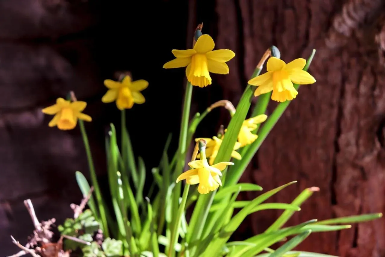 Causey Lodge Superb Comfy Home In Exeter By Staystay 0*,